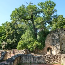 Ruins on Margaret Island
